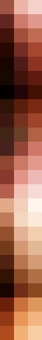 skinColors2