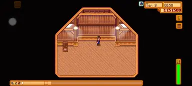 Attic 2nd Upgrade