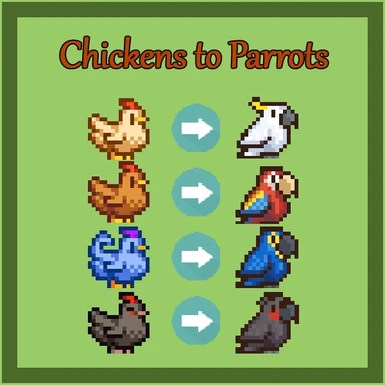chickenstoparrots