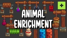 (DGA) Animal Enrichment