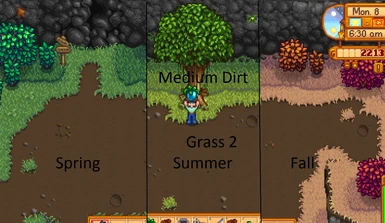 Medium Dirt Spring to Fall Grass 2