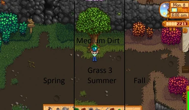 Medium Dirt Spring to Fall Grass 3