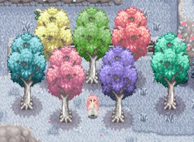 Maple Trees