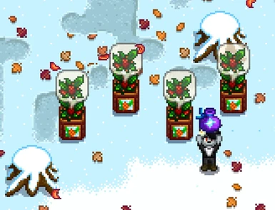 Winter Boxes (furry not included)
