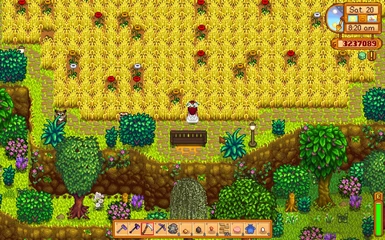 Love Immersive farm 2 - summer poppies in wheat field 