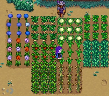 Animated Harvest Crops