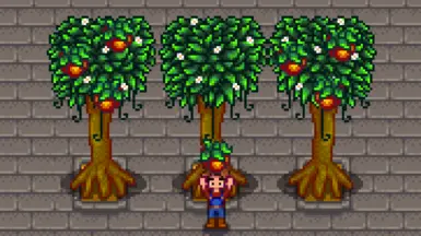 Spiceberry Tree
