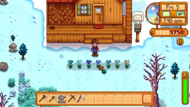 winter heart flowers