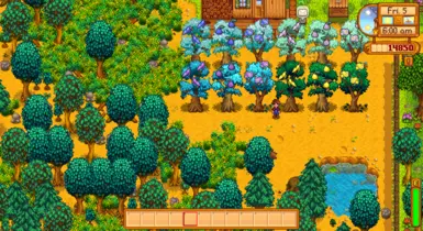 summer Kio trees