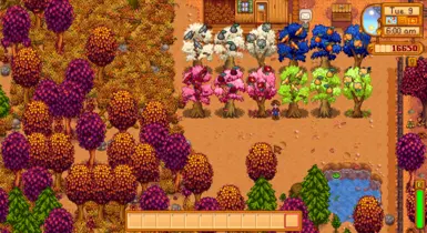 fall Kio trees