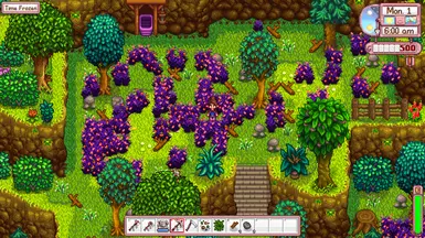 Purple - Summer