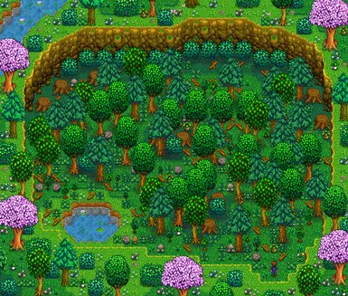 Foraging Area, With Debris