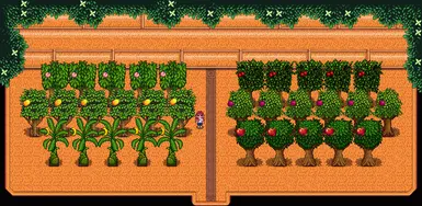 Left and Right Layout: Fruit Trees option. Sample of 16 staggered tree spots
