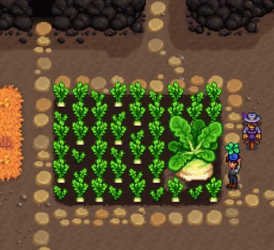 New giant crops!