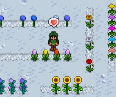 Flowers stay during winter (unless you pick them up!)