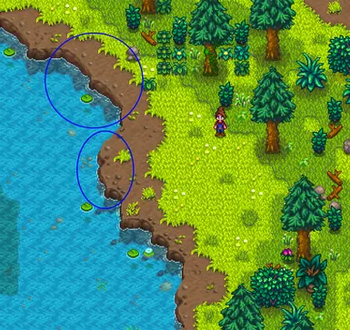 Summer Forest