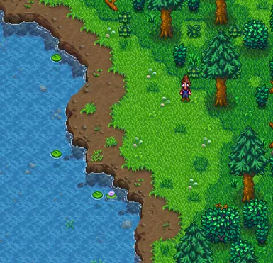 Spring Forest