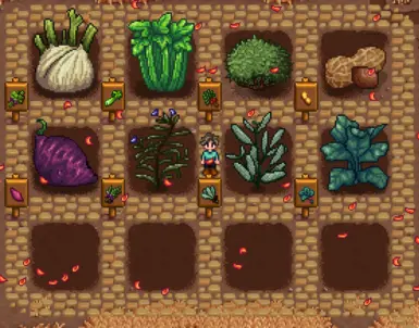 Fall Crops