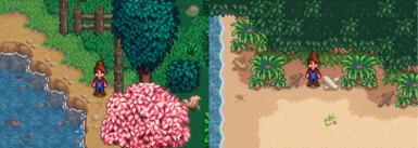 Beach/Town