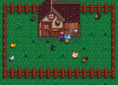 Adults + 2 vanilla chickens