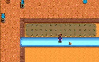 Paddys growing in the water room