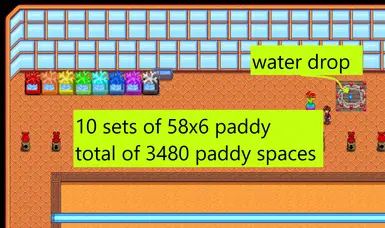 BETA - Water (or paddy) room deets