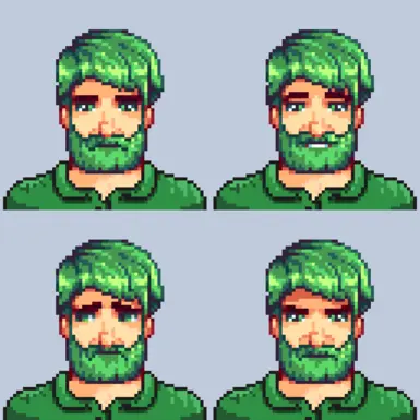 Town portraits