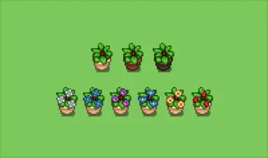 Color Options!