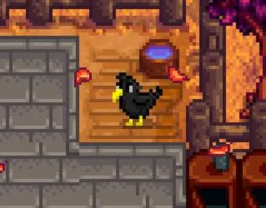 crow1