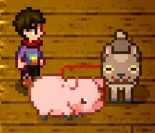 1.1: With new baby goats and baby pigs by @vikich3rry