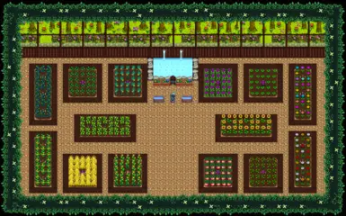 Summer Room