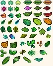 Chinese translation-Leaf Collecting (NitV)