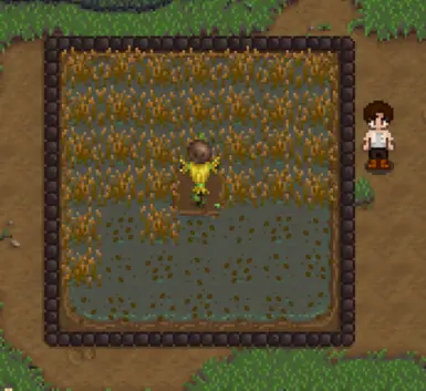 Place scarecrows and decor in the passable version if you have Anything Anywhere!