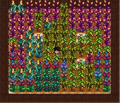 SOJA) Ancient Crops at Stardew Valley Nexus - Mods and community