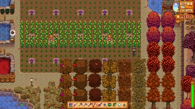 Trees and Fruit trees on Fall