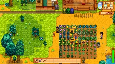 Random crop growth images!