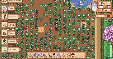 Multi Yield Crops
