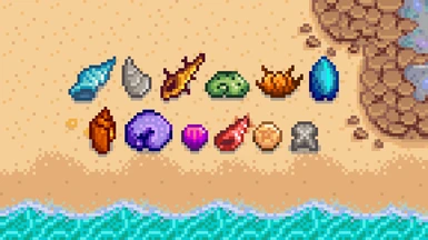 Shell Collection - JA