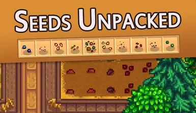Seeds Unpacked