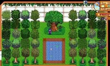 Tree Room shown with fruit trees planted