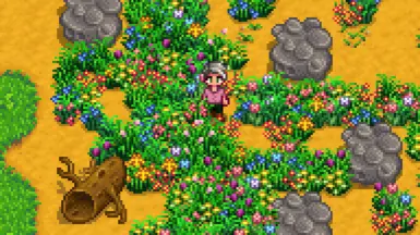 Spring