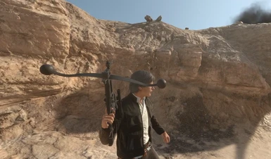 The Force Awakens Han With Chewie's Bowcaster in Battlefront