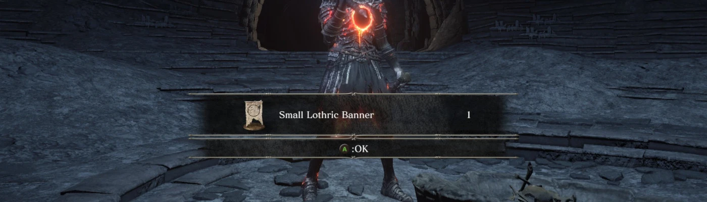 I did it… I finally got the Darkmoon Blade. My build is complete. :  r/darksouls3