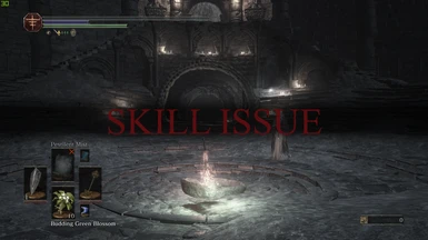 Ds3 Skill Issue You Died Screen and More