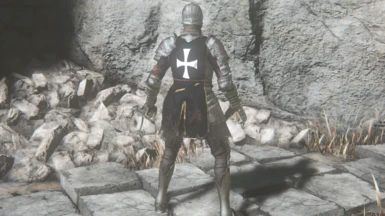 Hospitaller Knight #1 Back