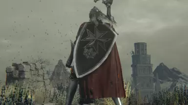 Templar Shield V3