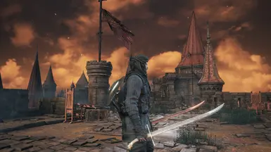 Sellswords twinblades dark souls 3 где найти