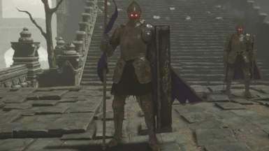 Royal Grand Archives Knight