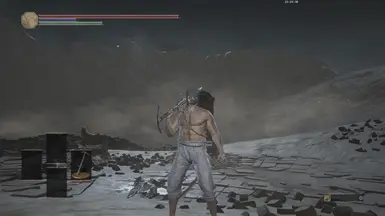 RaHU Challenge Save DS3