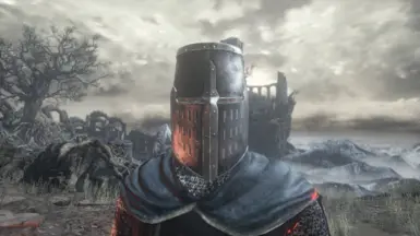 Un-hidden Faces version